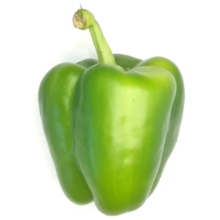 green pepper.webp