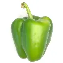 green pepper.webp