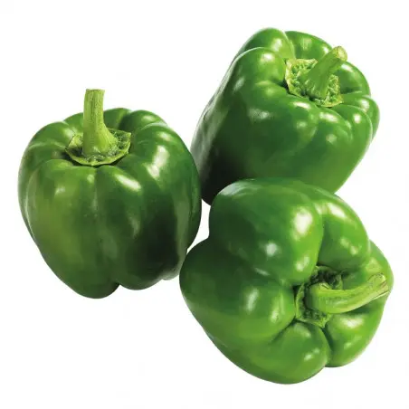 green-bell-peppers-3.webp