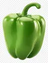 green pepper1.webp
