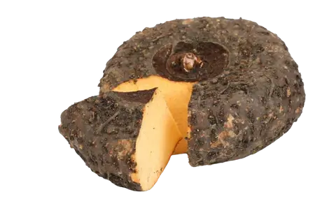 elephant_yam.webp