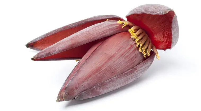 Banana-flower_759.webp