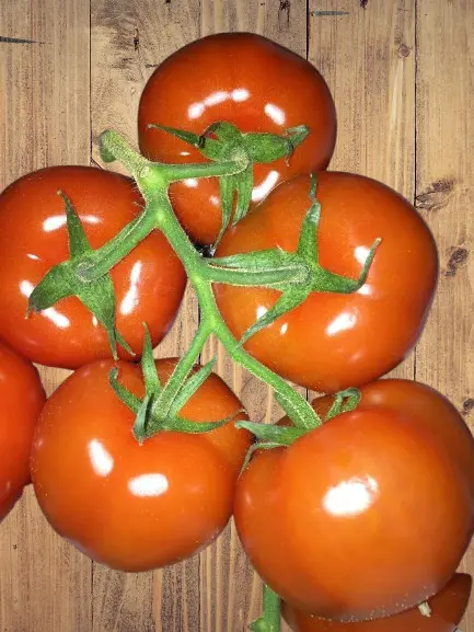 VINE_TOMATO-removebg-preview.webp