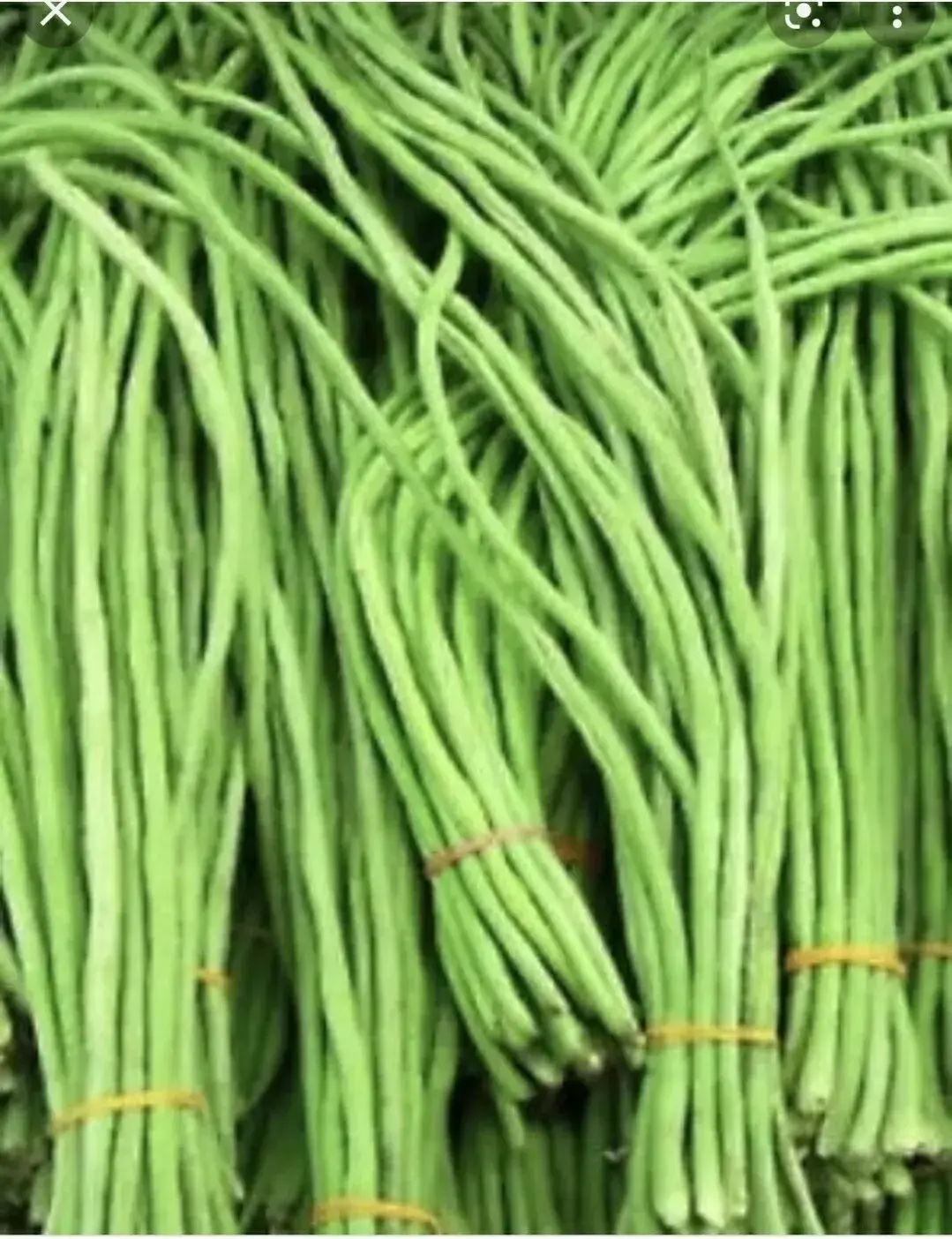 longbeans.webp