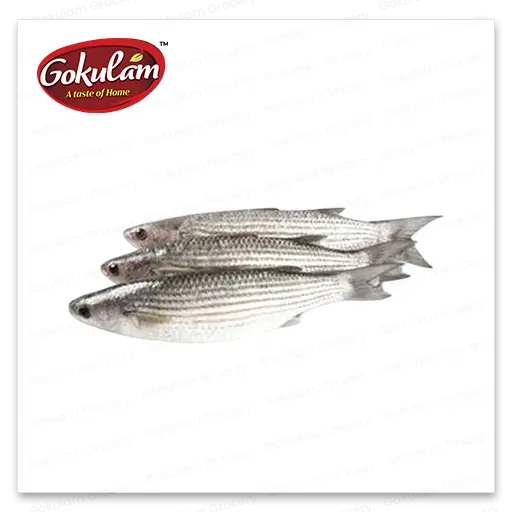 GOLD FISH-King Fish (Baby)-1 Kg