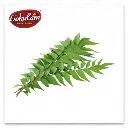 Fresh Curry Leaves 60-80g Bunch
