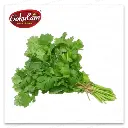 Fresh Coriander