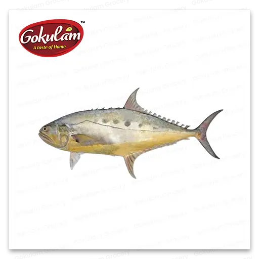 GOLD FISH-Queen Fish-1 Kg