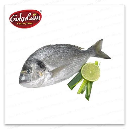 GOLD FISH-Sea Bream-800 G