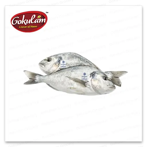 GOLD FISH Sea Bream 2Kg