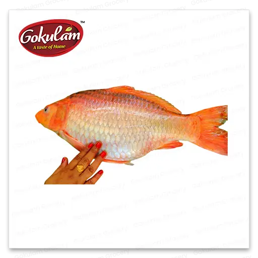 GOLD FISH-Queen Fish Whole-500 G