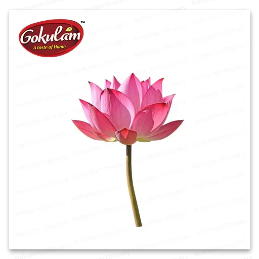 Lotus Flower