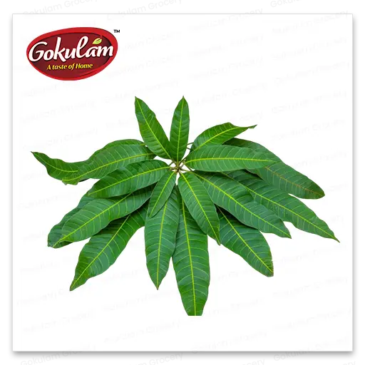Mango Leaves